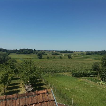 Apartman ŠIPA Bjelovar Bagian luar foto