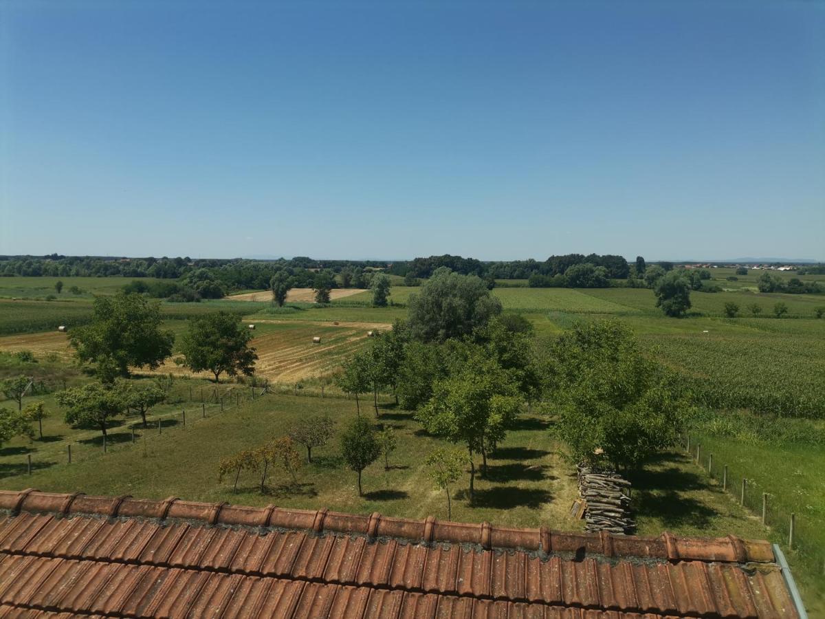 Apartman ŠIPA Bjelovar Bagian luar foto