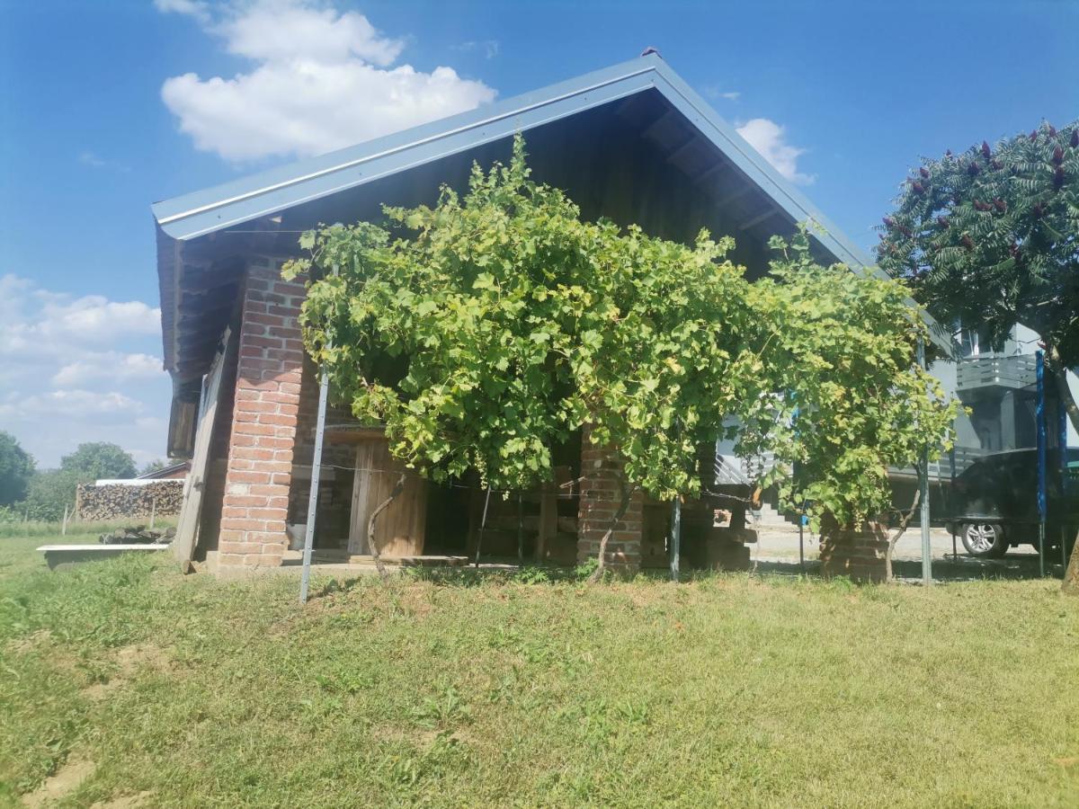 Apartman ŠIPA Bjelovar Bagian luar foto